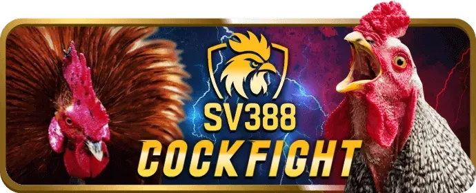 Hình ảnh các chương trình khuyến mãi và ưu đãi mv9bet